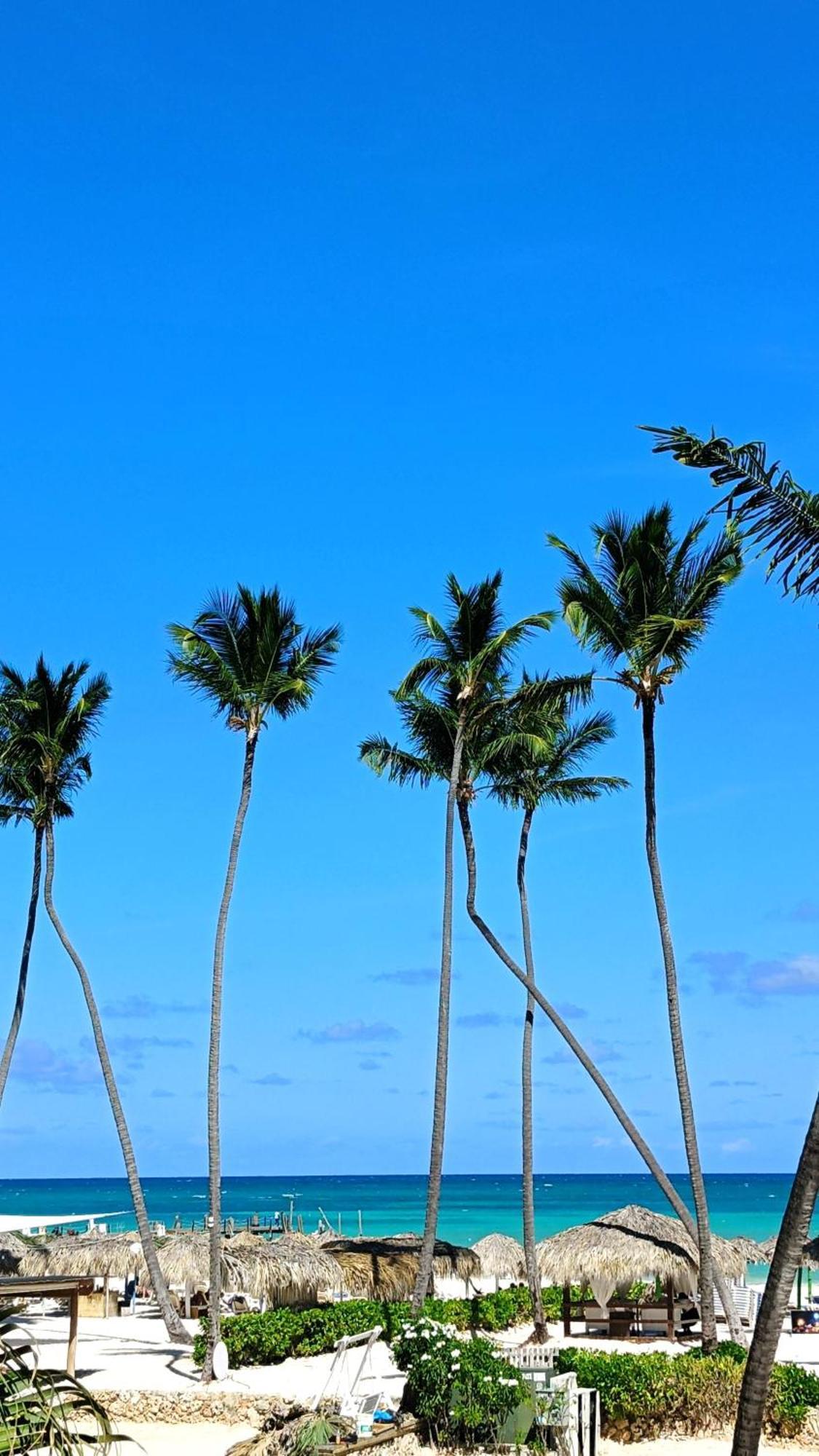 Flor Del Mar Condo Punta Cana Beachfront מראה חיצוני תמונה